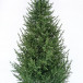 Искусственная ель Лесная Симфония 300 см., 100% Литая хвоя, Max Christmas (ЕЛСМЛ30)