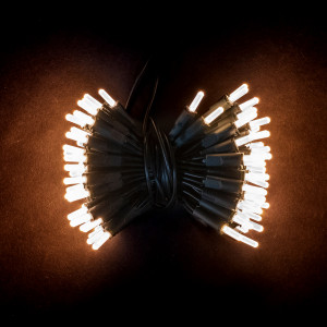 Светодиодная нить Самоцветы 100 теплых белых LED ламп, 10 м., 220В, зеленый провод, Beauty Led (SAM100-13-2WW)