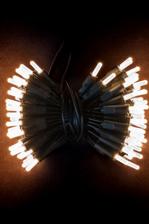 Светодиодная нить Самоцветы 100 теплых белых LED ламп, 10 м., 220В, зеленый провод, Beauty Led (SAM100-13-2WW)