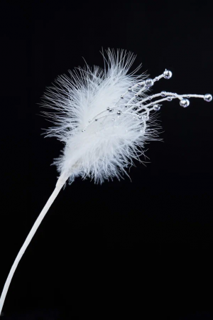 Ветвь Ледяной фейерверк из бисера, белая, 30 см., Christmas DeLuxe (88874) 