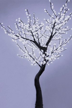 Светодиодная флористика дерево Сакура 2.5 м., 220V, 800 холодных белых LED ламп, черный провод, Beauty Led (S10-250-W)
