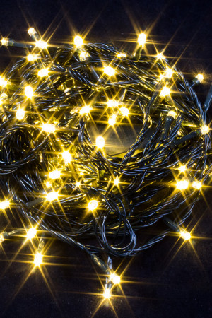 Светодиодная нить 7 м., 220V, 100 теплых белых LED ламп, контроллер, черный провод, Winner Light (ww.01.5B.100-)