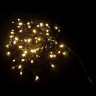 Светодиодная нить 7 м., 220V, 100 теплых белых LED ламп, контроллер, черный провод, Winner Light (ww.01.5B.100-)