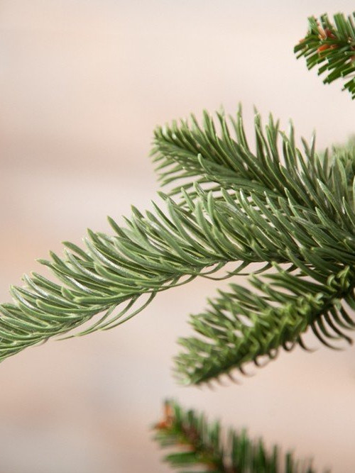 Елка Нормандия стройная 185 см., литая хвоя+пвх, Triumph Tree (73632)