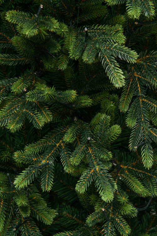 Искусственная елка Венецианская 270 см., 770 мульти/теплых белых Led ламп (2в1), Литая хвоя+ПВХ, ЕлкиТорг (175270)