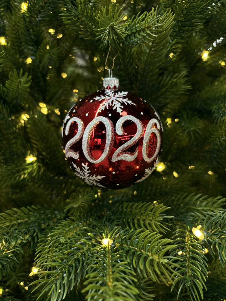 Стеклянный шар 2026 год 95 мм., красный, стекло, Ёлочка (С309/2) Стеклянный шар 2026 год 95 мм., красный, стекло, Ёлочка (С309/2)