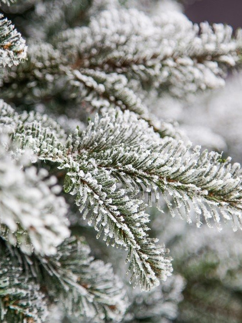 Ель искусственная Стильная заснеженная 185 см., литая хвоя+пвх, Black Box (74003)