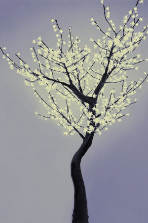 Светодиодная флористика дерево Сакура 2.5 м., 220V, 800 теплых белых LED ламп, черный провод, Beauty Led (S10-250-WW)