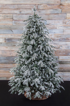 Ель Стильная заснеженная 260 см., литая хвоя+пвх, Black Box (74122)