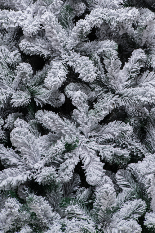 Искусственная елка Эверест заснеженная 300 см., мягкая хвоя, ЕлкиТорг (132300)