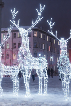 Комплект светодиодных фигур Семья Оленей 3 шт., Conso (OL358)