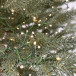 Ель Лесная Фея 210 см., 4500 LED ламп, 100% литая хвоя, ChristmasDeLuxe (70001)