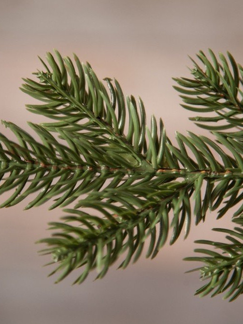 Елка Шервуд Премиум 120 см., литая хвоя+пвх, Triumph Tree (73778)