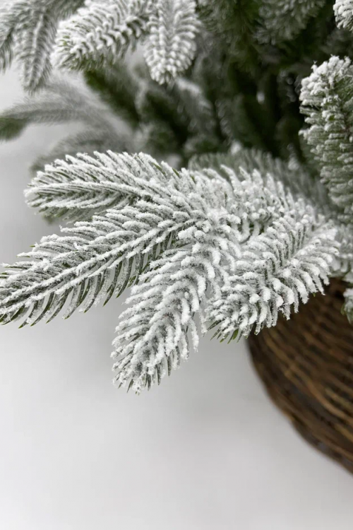 Ель Полярная заснеженная, 100% литая хвоя, 155 см., Black Box (74633)