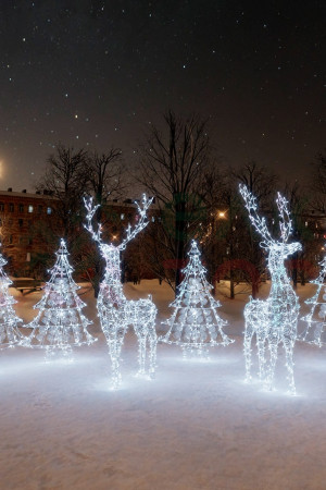 Комплект светодиодных фигур Олени в лесу 6 шт., Conso (OL164)