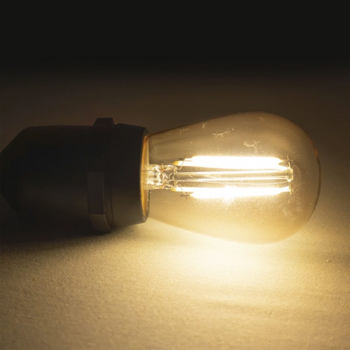 Лампа Филаментная Лофт Ø45 мм, H60 мм., 220В, Цоколь E27, 2 Вт, Золотисто-Коричневая, LTC (FLM27-2W-2TN)