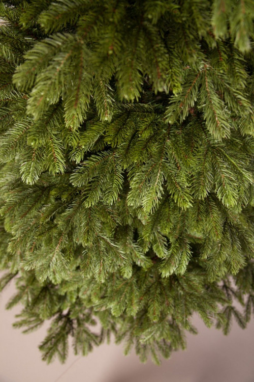 Ель Коттеджная 365 см., литая хвоя+пвх, Black Box (74335)