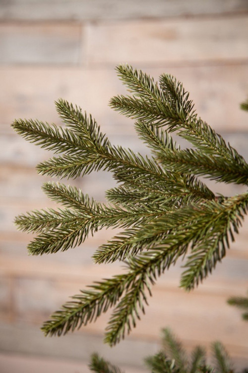 Искусственная ель Ирландская 305 см., литая хвоя+пвх, Black Box (74391)