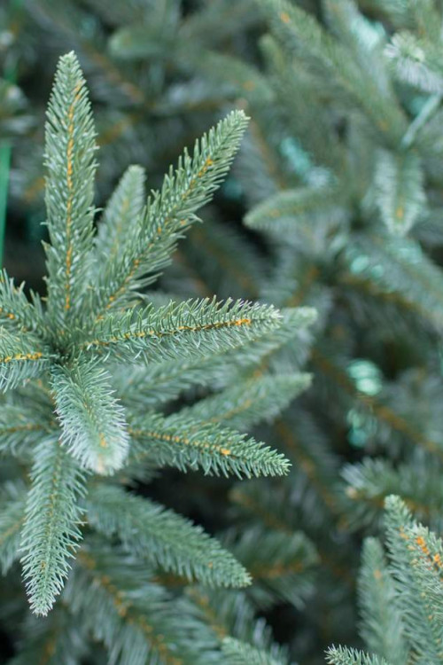 Интерьерная искусственная елка Европейская Премиум 4 м., ствольная, Литая хвоя+ПВХ, Green Trees (GT4EVR)