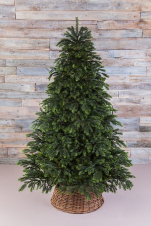 Ель Раскидистая 305 см., литая хвоя+пвх, Black Box (74336)