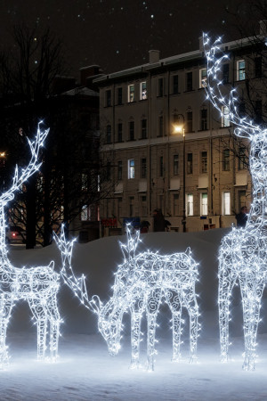 Комплект светодиодных фигур Семья Оленей 3 шт., Conso (OL338)