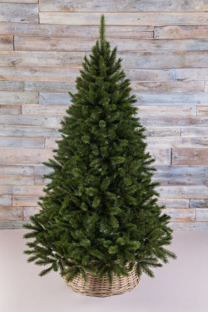 Елка Пихта Прелестная 365 см., леска+пвх, интерьерная, Triumph Tree (73072)