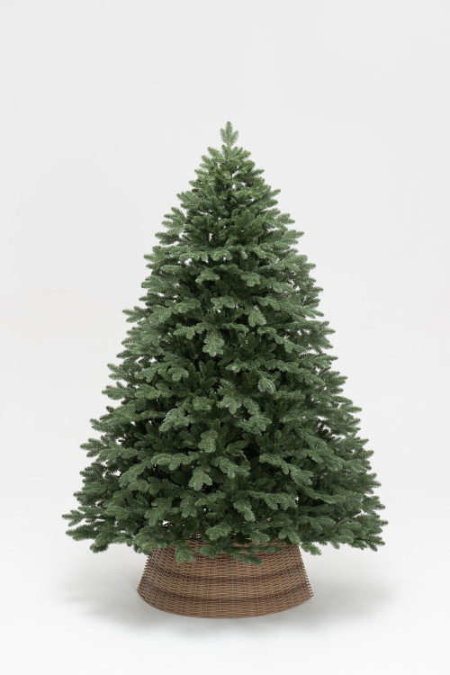 Искусственная елка Карельская  240 см., 100% литая хвоя, ЕлкиТорг (244240)