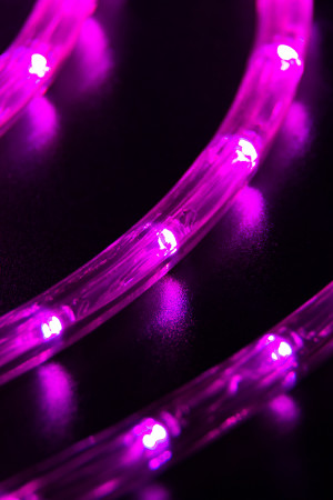 Дюралайт светодиодный 2-х проводной, диаметр 10 мм., 220В, розовый LED лампы 30 шт на 1 м., бухта 100 м., статика, Teamprof (TPF-DL-2WH-100-10mm-240-P)