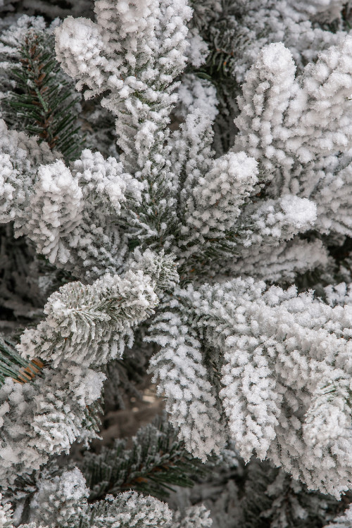 Искусственная елка Имперская заснеженная 180 см., литая хвоя+пвх, ЕлкиТорг (145180)