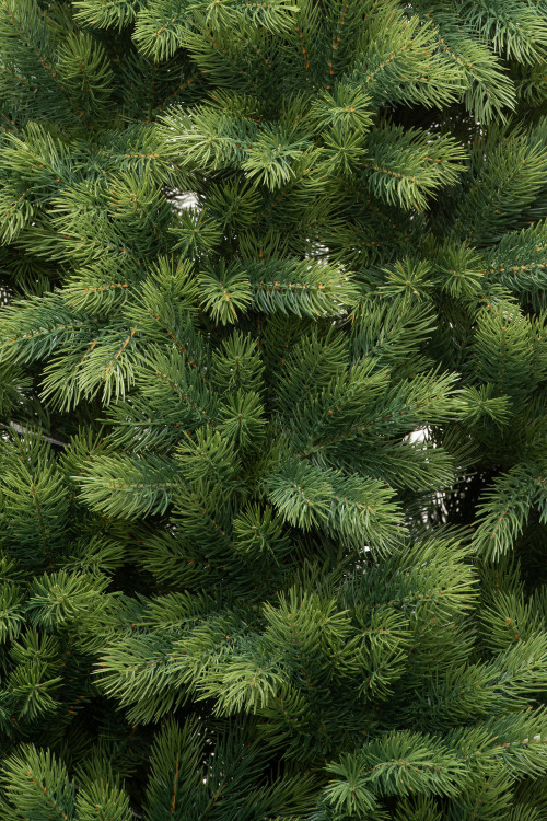 Искусственная елка Таежная 150 см., 100% литая хвоя, ЕлкиТорг (161150)