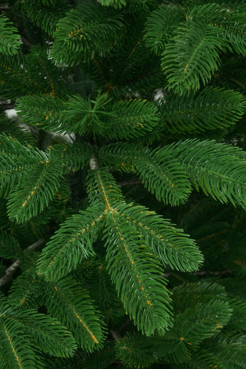 Ель искусственная Никитская 110 см., 100 % литая хвоя, ЕлкиТорг (217110)