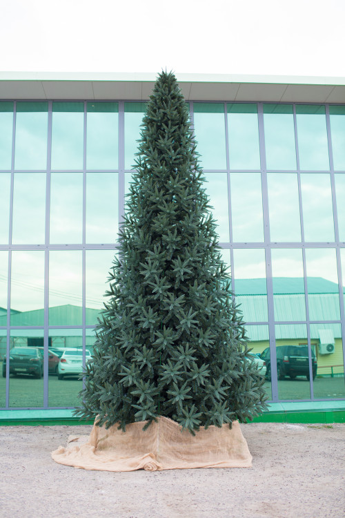 Интерьерная искусственная елка Европейская Премиум 6,5 м., ствольная, Литая хвоя+ПВХ, Green Trees (GT6,5EVR)