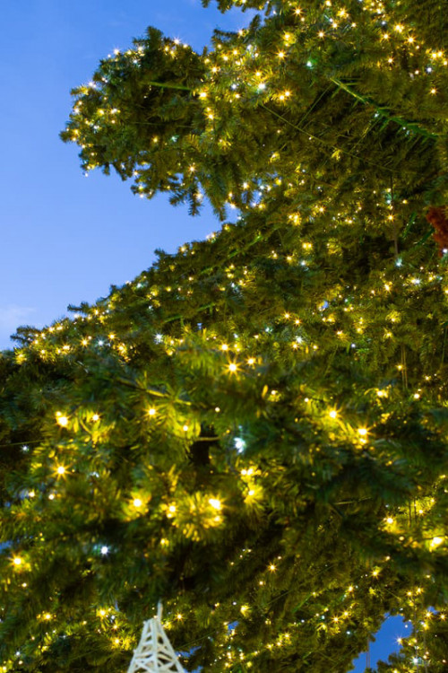 Уличная светодинамическая елка Таежная Премиум зеленая 13 м., ствольная, ПВХ, Green Trees (GT13TAPVCLED)