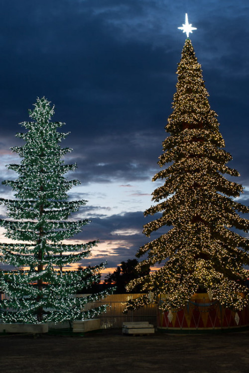 Уличная светодинамическая елка Таежная Премиум зеленая 15 м., ствольная, ПВХ, Green Trees (GT15TAPVCLED)
