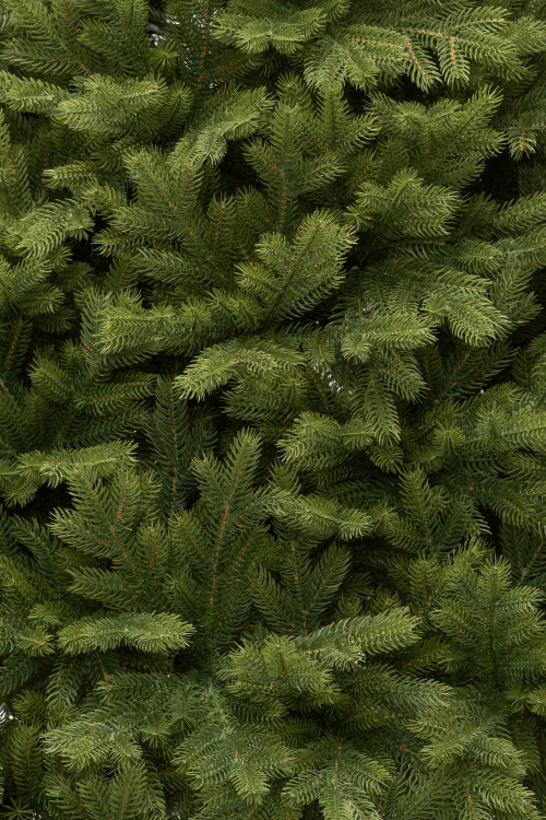 Искусственная елка Эрмитажная 180 см., 100% литая хвоя, ЕлкиТорг (94180)