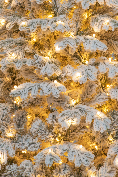 Искусственная елка Аляска заснеженная 210 см., 500 теплых белых LED ламп, литая+пвх, ЕлкиТорг (149210)