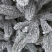 Искусственная елка Хеймдалль заснеженная 240 см., 100% литая хвоя, с холодными Led лампами, ЕлкиТорг (236240)