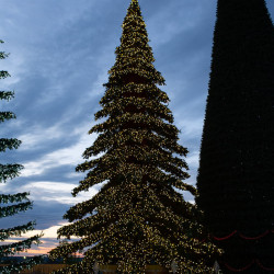 Уличная светодинамическая елка Таежная Премиум зеленая 21 м., ствольная, ПВХ, Green Trees (GT21TAPVCLED)