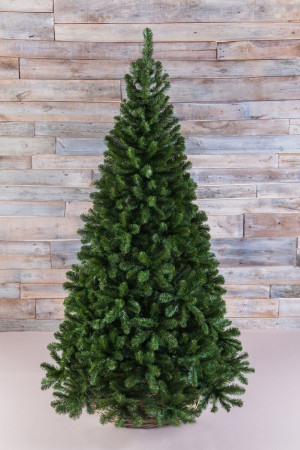 Елка Санкт-Петербург 185 см., мягкая хвоя, Triumph Tree (73580)