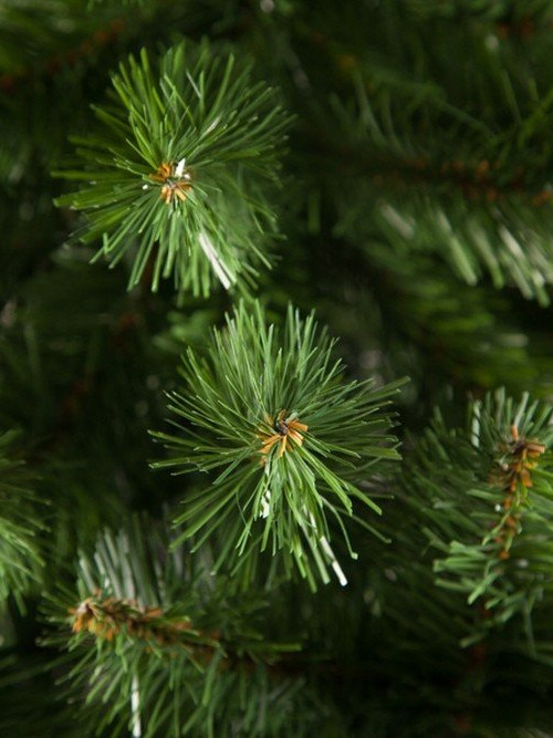 Елка Санкт-Петербург 185 см., мягкая хвоя, Triumph Tree (73580)