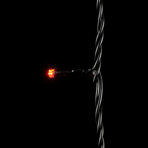 Светодиодная нить 100 красных LED ламп, 10 м., 24В., черный провод ПВХ, LTC (PST100-11-1R)