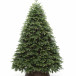 Искусственная елка Богемская 210 см., Литая хвоя+ПВХ, ЕлкиТорг (22210)
