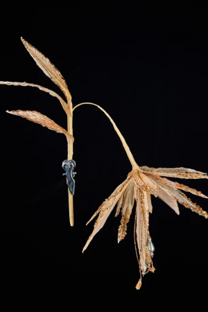 Ветвь Стрелиция золотая, 41 см., Christmas DeLuxe (88930)