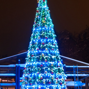 Комплект освещения Пояс Ориона для ели Уральская высотой 16 м., 15 ярусов, 400 ламп, Green Trees (Orion16)