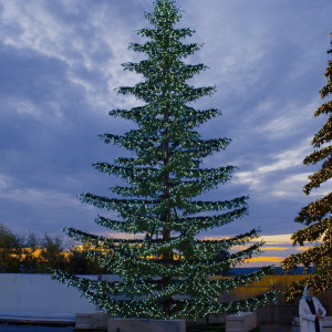 Уличная светодинамическая елка Лесная зеленая 12 м., ствольная, Литая, Green Trees (GT12LESPELED)