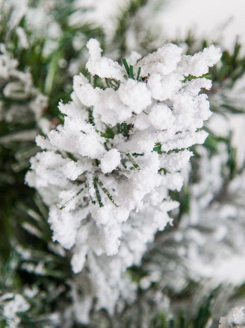 Ель Атлантида заснеженная 260 см., мягкая хвоя, Black Box (74345)