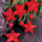 Гирлянда Звездопад 104 см., диаметр 13 см., красная, пенопласт, Christmas DeLuxe (89422) 