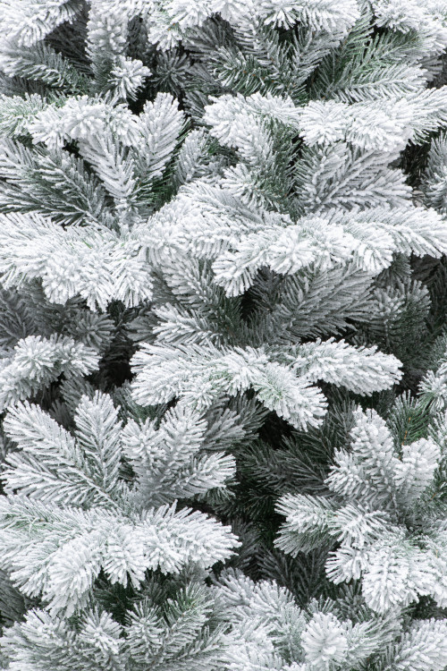 Искусственная елка Суздальская заснеженная 120 см., 100% Литая хвоя, ЕлкиТорг (273120)