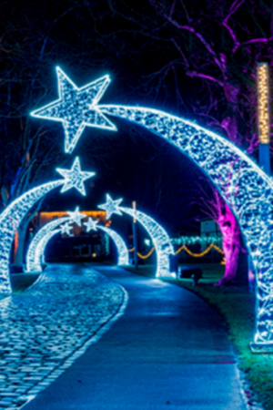 Светодиодная арка Падающая звезда 350 см. 1 шт., Сад Радости (SR204)
