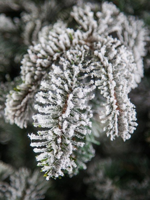 Ель искусственная Стильная заснеженная 215 см, литая хвоя+пвх, Black Box (74001)